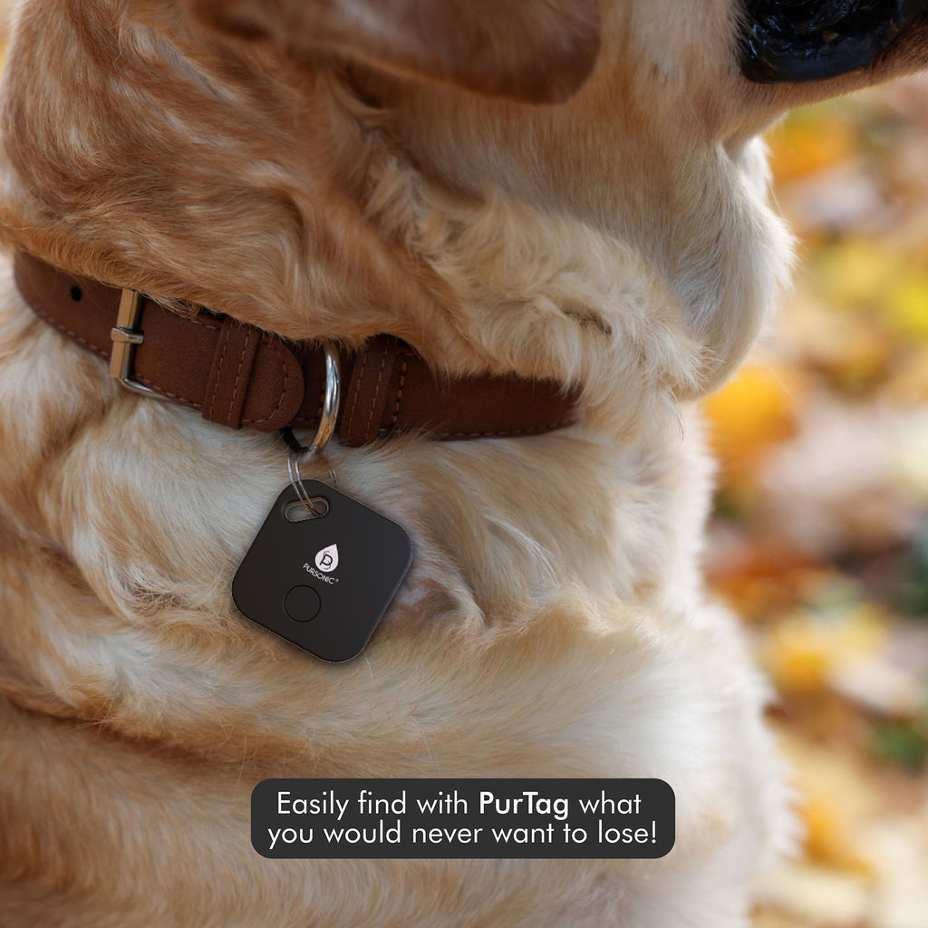 Purtag Tracker: Ultimate Solution for Keeping Tabs on Your Belongings-2